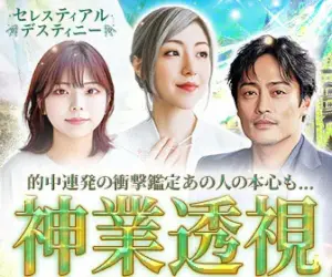 セレスティアルデスティニー