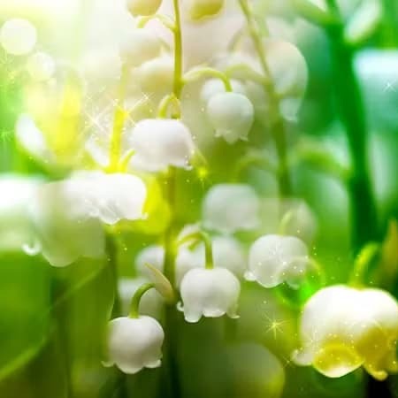 みんなの電話占いセラ先生