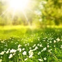 電話占いリエル_映満先生