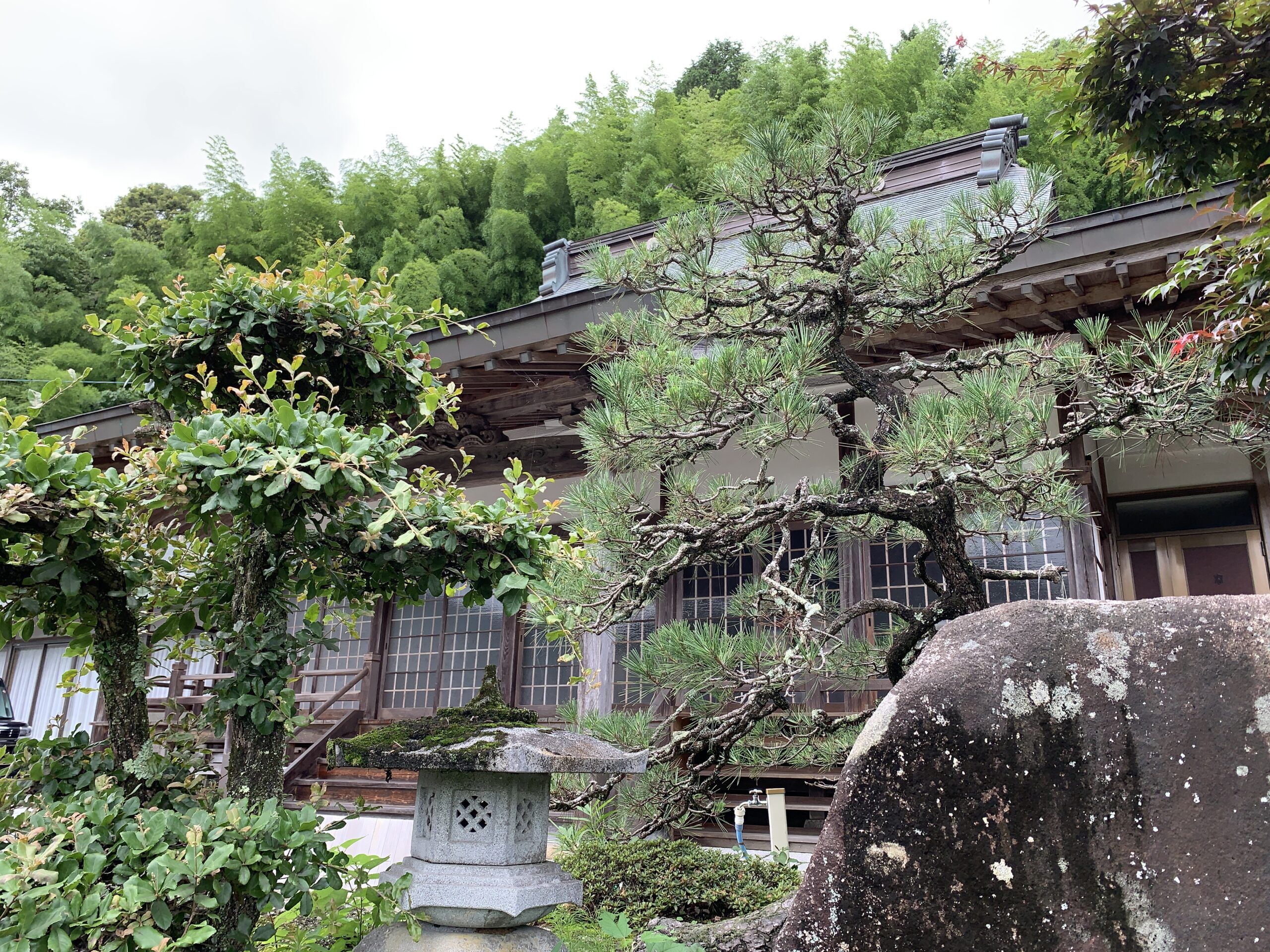 □光桜山 正向寺-浄土真宗本願寺派 | お寺の窓口