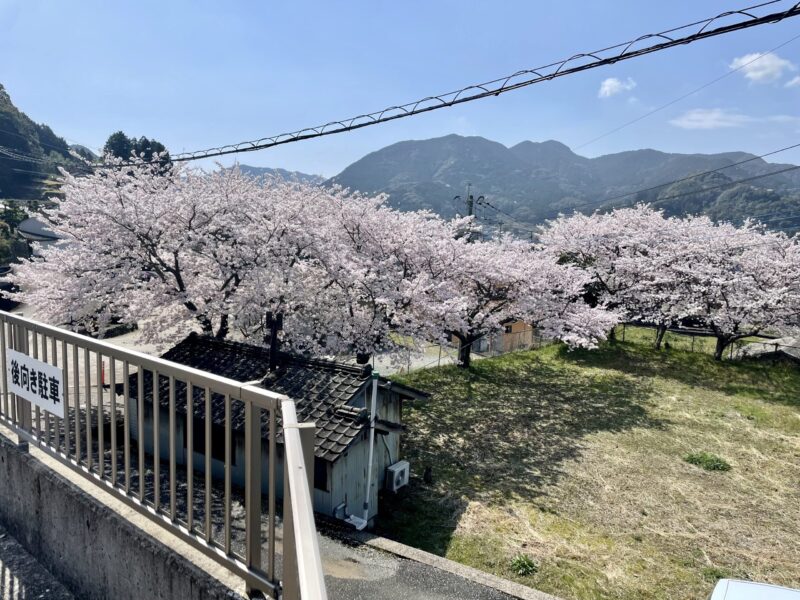 すぐ下の春の公園